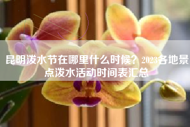 昆明泼水节在哪里什么时候？2023各地景点泼水活动时间表汇总