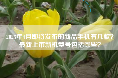 2023年4月即将发布的新品手机有几款？最新上市新机型号包括哪些？