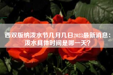 西双版纳泼水节几月几日2023最新消息：泼水具体时间是哪一天？