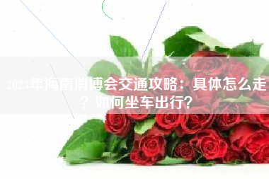 2023年海南消博会交通攻略：具体怎么走？如何坐车出行？
