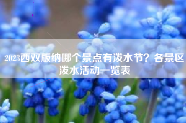 2023西双版纳哪个景点有泼水节？各景区泼水活动一览表