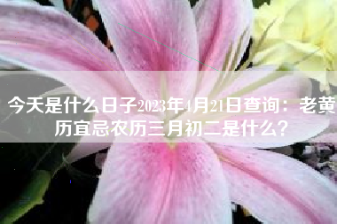 今天是什么日子2023年4月21日查询：老黄历宜忌农历三月初二是什么？