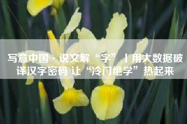 写意中国·说文解“字”丨用大数据破译汉字密码 让“冷门绝学”热起来