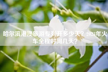哈尔滨港澳旅游专列开多少天？2023年火车全程时间几天？