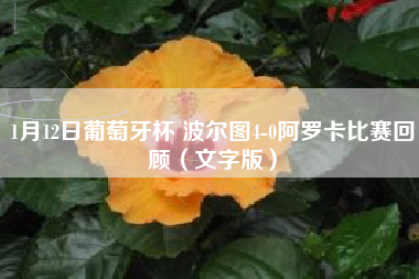 1月12日葡萄牙杯 波尔图4-0阿罗卡比赛回顾（文字版）