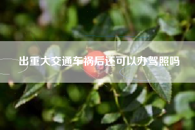 出重大交通车祸后还可以办驾照吗