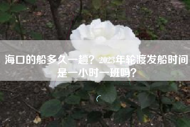 海口的船多久一趟？2023年轮渡发船时间是一小时一班吗？