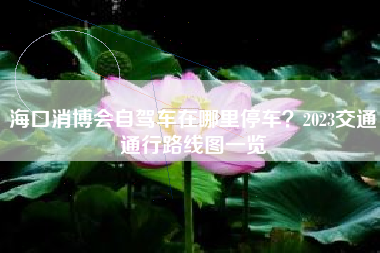 海口消博会自驾车在哪里停车？2023交通通行路线图一览