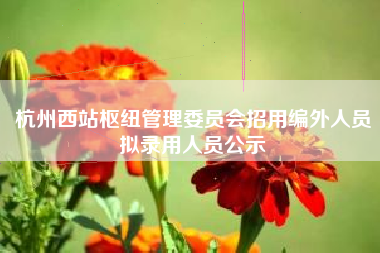 杭州西站枢纽管理委员会招用编外人员拟录用人员公示