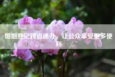 婚姻登记跨省通办，让公众享受更多便利