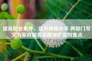 提高职业素养，提升保障水平 两部门发文为家政服务业提质扩容划重点
