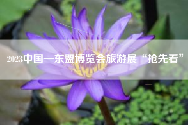 2023中国—东盟博览会旅游展“抢先看”