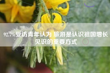 92.7%受访青年认为 旅游是认识祖国增长见识的重要方式