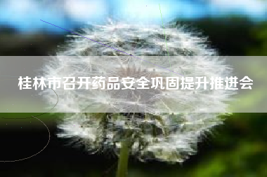 桂林市召开药品安全巩固提升推进会