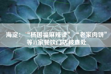 海淀：“杨国福麻辣烫”“老家肉饼”等11家餐饮门店被查处