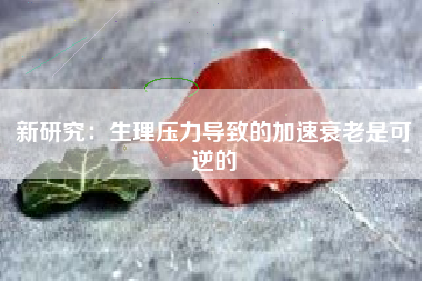 新研究：生理压力导致的加速衰老是可逆的