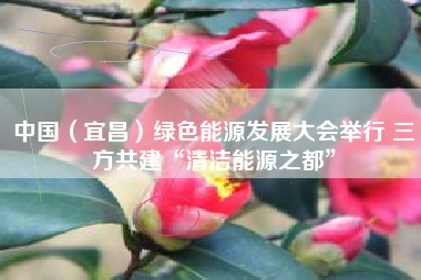 中国（宜昌）绿色能源发展大会举行 三方共建“清洁能源之都”