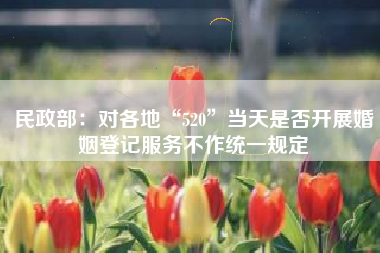 民政部：对各地“520”当天是否开展婚姻登记服务不作统一规定