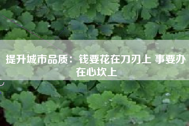提升城市品质：钱要花在刀刃上 事要办在心坎上
