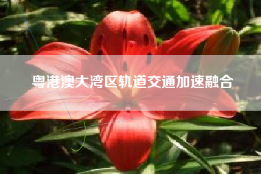 粤港澳大湾区轨道交通加速融合