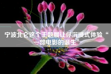 宁波北仑这个主题展让你沉浸式体验“一部电影的诞生”