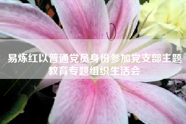 易炼红以普通党员身份参加党支部主题教育专题组织生活会