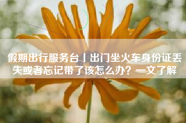 假期出行服务台丨出门坐火车身份证丢失或者忘记带了该怎么办？一文了解