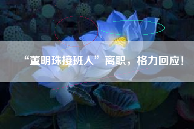 “董明珠接班人”离职，格力回应！