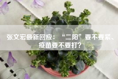 张文宏最新回应：“二阳”要不要紧、疫苗要不要打？