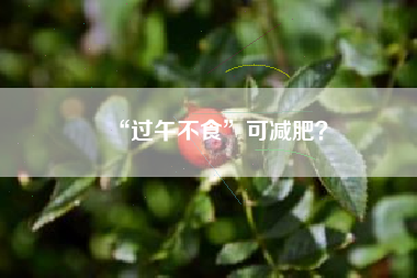 “过午不食”可减肥?