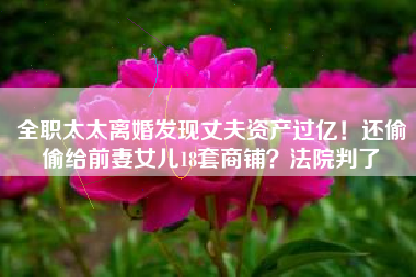 全职太太离婚发现丈夫资产过亿！还偷偷给前妻女儿18套商铺？法院判了