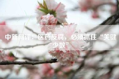 中新网评：医药反腐，必须抓住“关键少数”