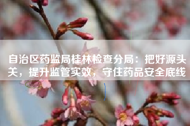 自治区药监局桂林检查分局：把好源头关，提升监管实效，守住药品安全底线