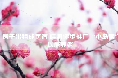 房子出租成民宿 嵊泗逐步推广“小岛版”以房养老
