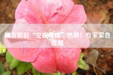 网友掀起“空腹爬楼”热潮!专家紧急提醒