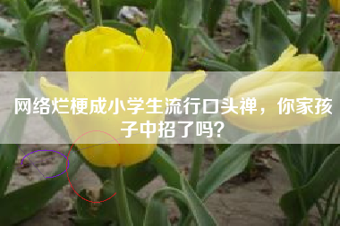 网络烂梗成小学生流行口头禅，你家孩子中招了吗？