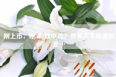 刚上市，吃5颗就中毒？很多人不知道的是…