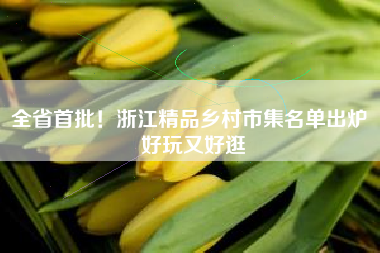 全省首批！浙江精品乡村市集名单出炉 好玩又好逛