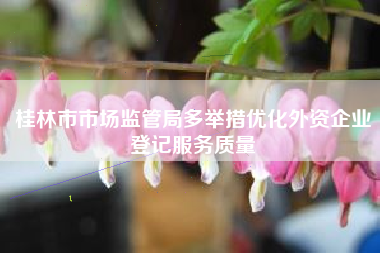 桂林市市场监管局多举措优化外资企业登记服务质量