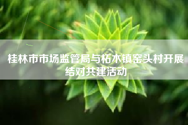 桂林市市场监管局与柘木镇窑头村开展结对共建活动