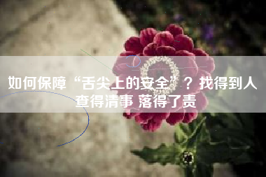 如何保障“舌尖上的安全”？找得到人 查得清事 落得了责