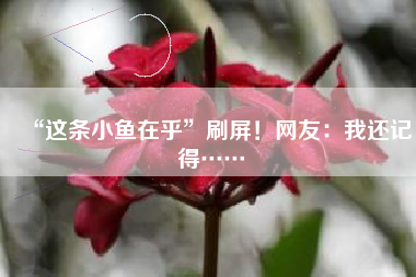 “这条小鱼在乎”刷屏！网友：我还记得……