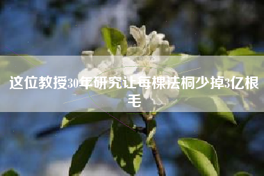 这位教授30年研究让每棵法桐少掉3亿根毛
