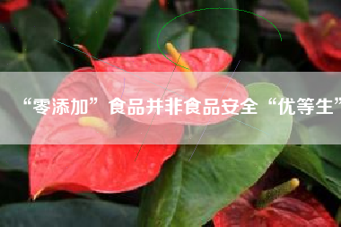 “零添加”食品并非食品安全“优等生”