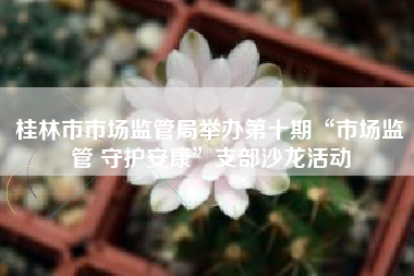 桂林市市场监管局举办第十期“市场监管 守护安康”支部沙龙活动