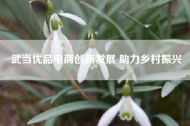 武当优品电商创新发展 助力乡村振兴