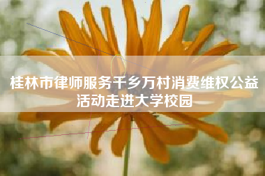 桂林市律师服务千乡万村消费维权公益活动走进大学校园