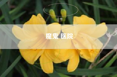 魔鬼 医院