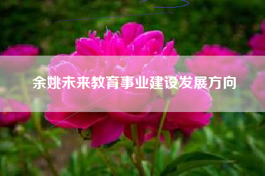 余姚未来教育事业建设发展方向