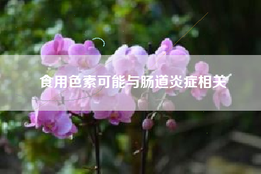食用色素可能与肠道炎症相关